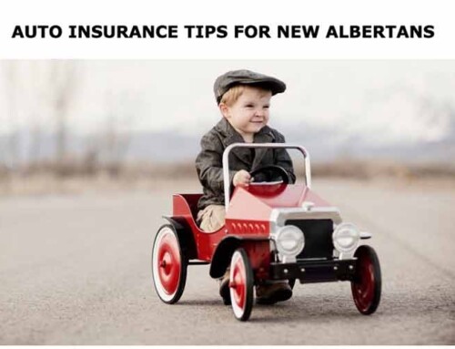 AUTO INSURANCE TIPS FOR NEW ALBERTANS